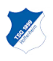 主队队徽